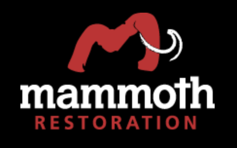Mammoth Restoration-Doylestown