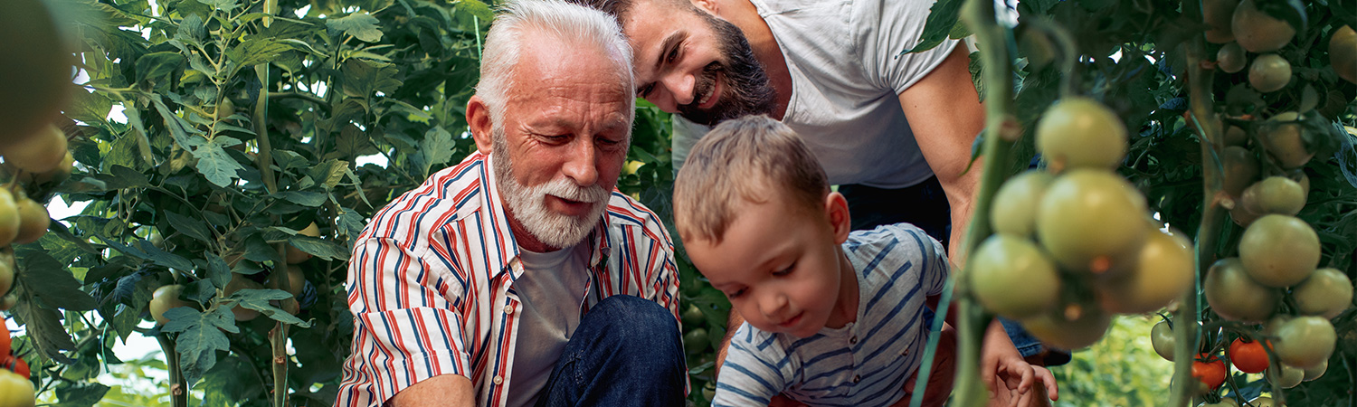 Pennsylvania Life Insurance Coverage